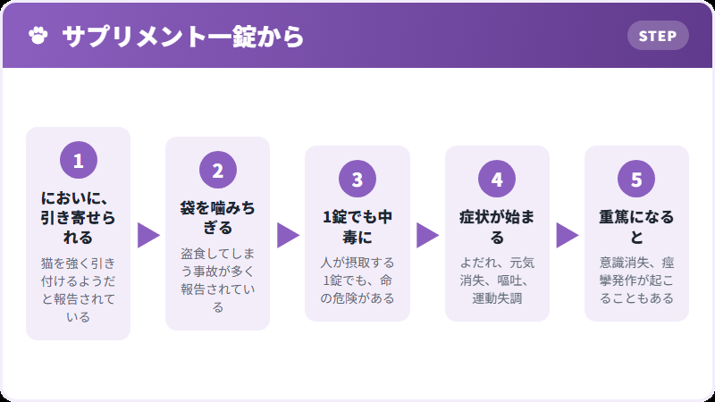 一錠から起きること