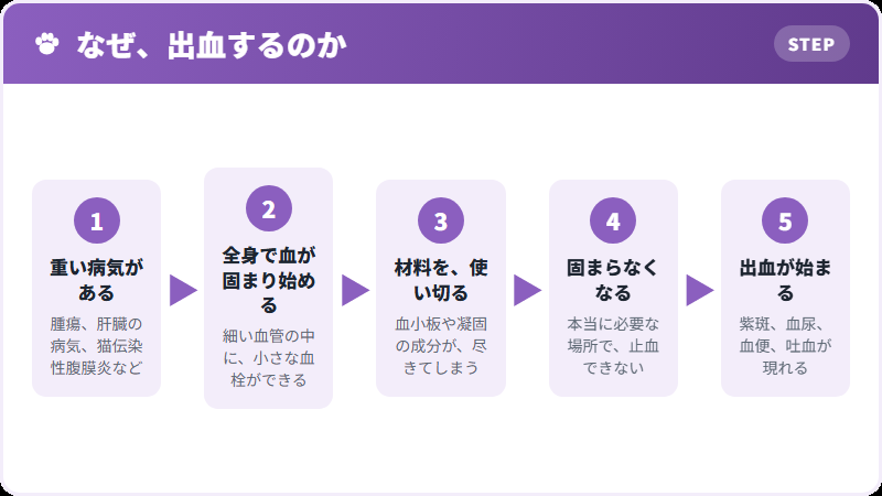 DICの進み方