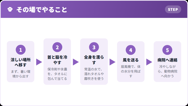 応急処置の手順