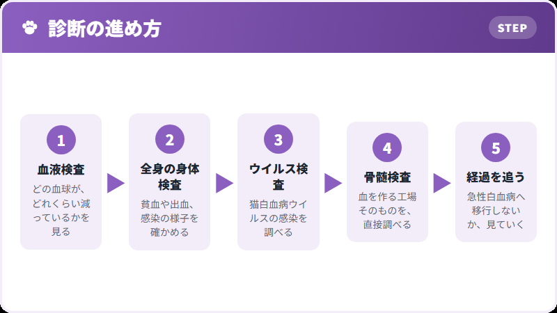 診断の流れ