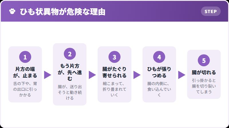 ひもが起こすこと