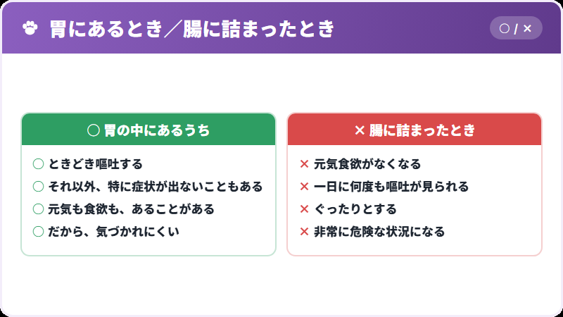 胃と腸で違うこと