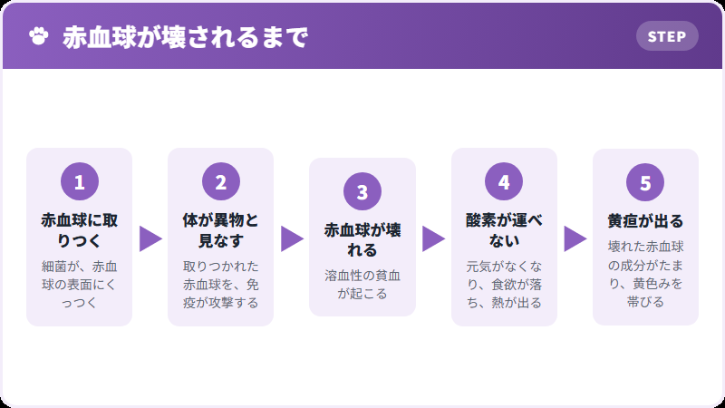 体の中で起きること