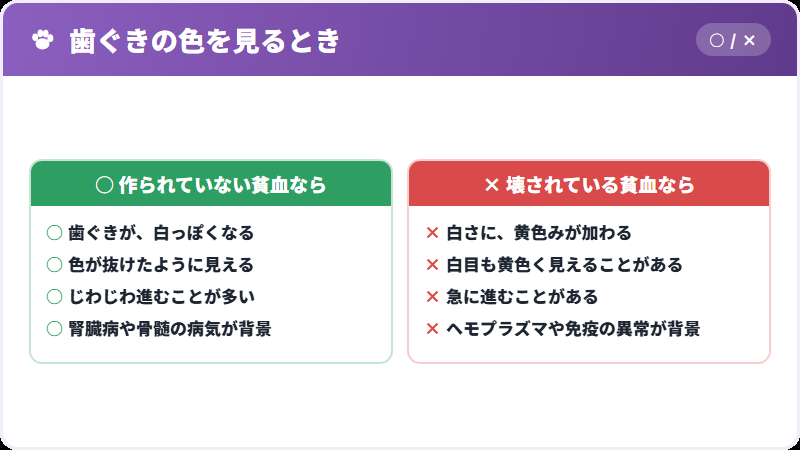 貧血の色の違い