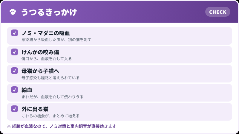 感染経路