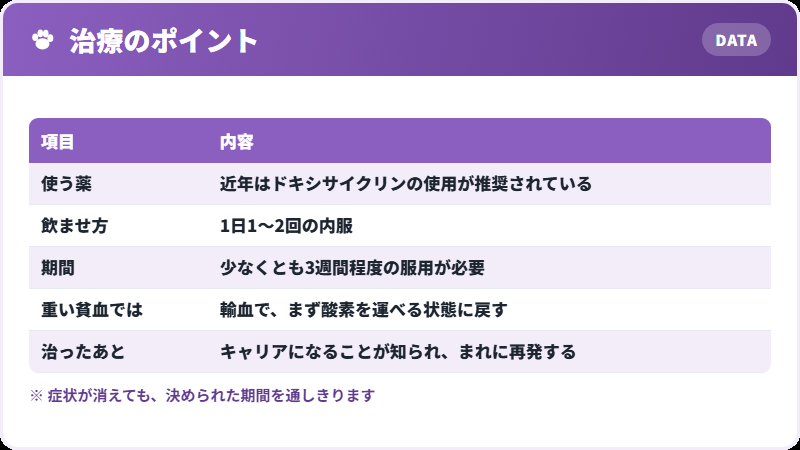 治療の進め方