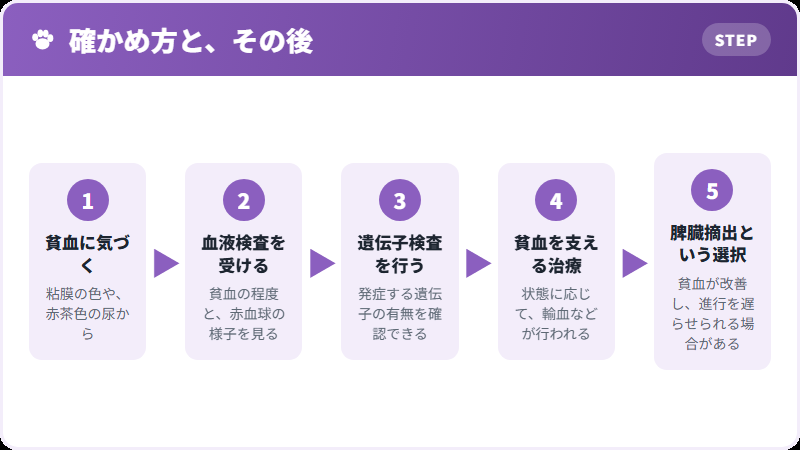 診断と対応の流れ
