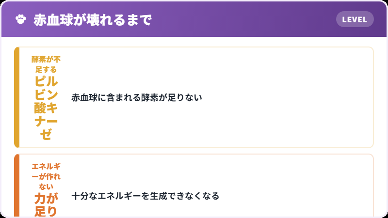 体の中で起きること