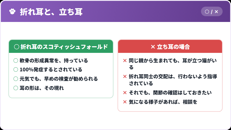 折れ耳と立ち耳