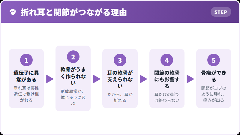 耳から全身へ