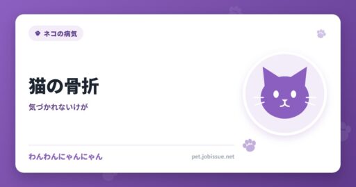 猫の骨折