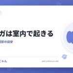 犬のケガは室内で起きる
