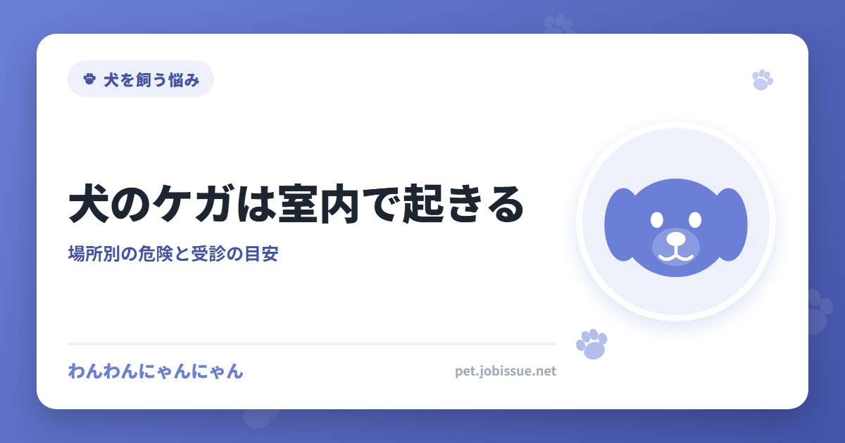 犬のケガは室内で起きる
