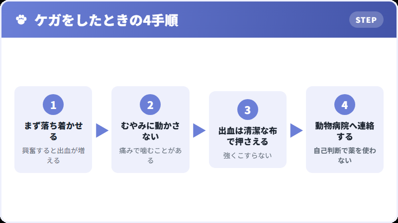 ケガをしたときの応急手当の手順
