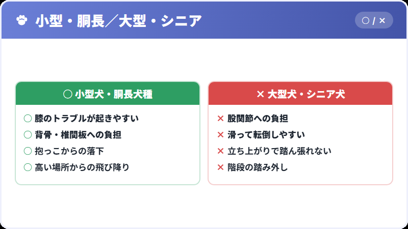 ケガをしやすい犬の条件