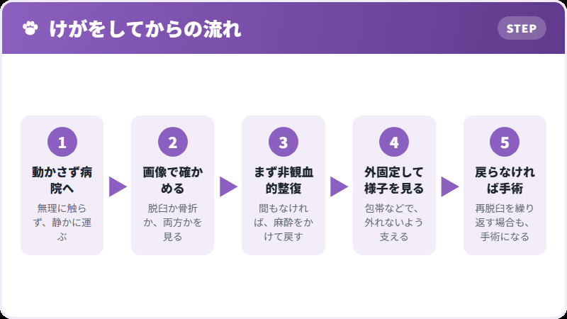 受診から治療まで