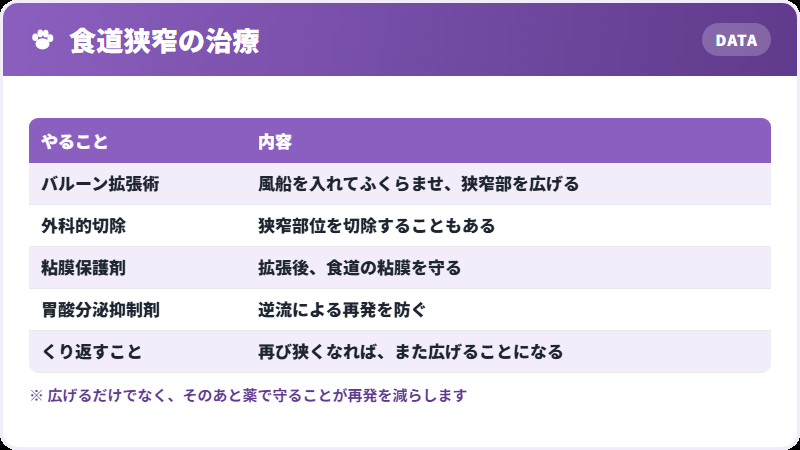 治療の中身
