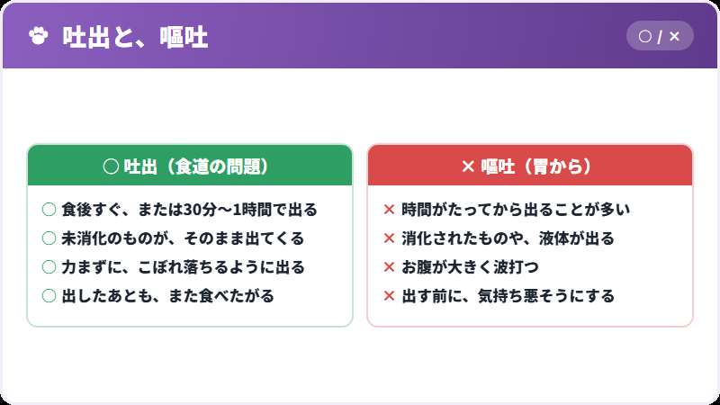 吐出と嘔吐