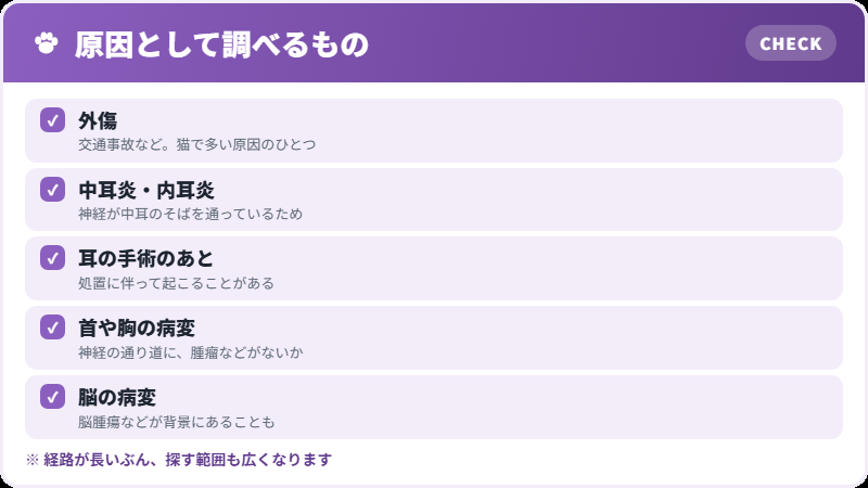 探すもの