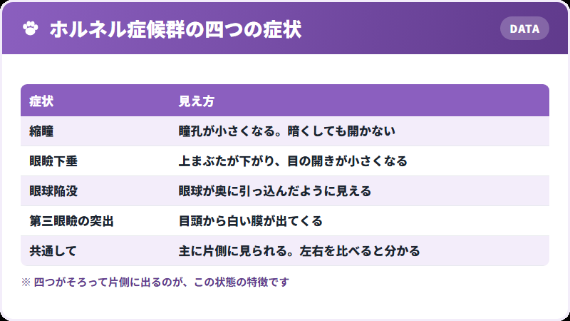 四つの症状