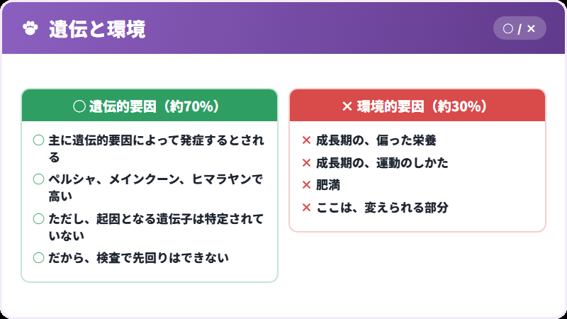 原因の割合