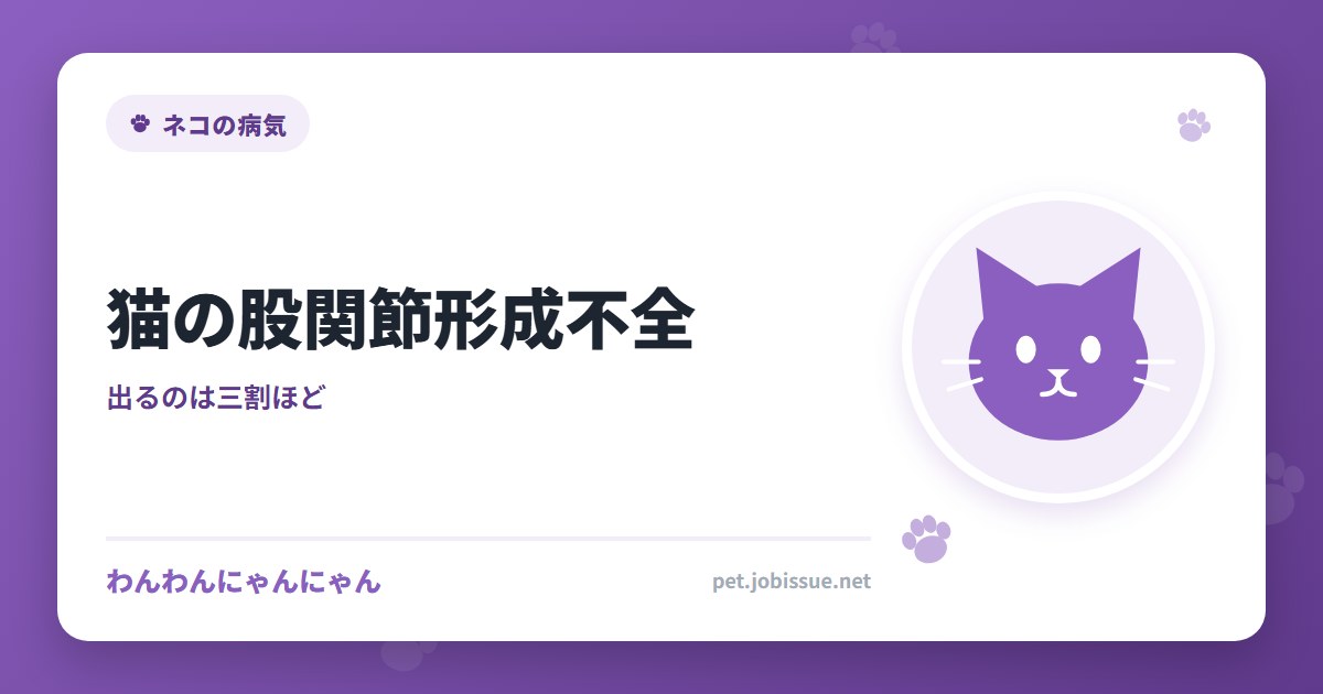 猫の股関節形成不全