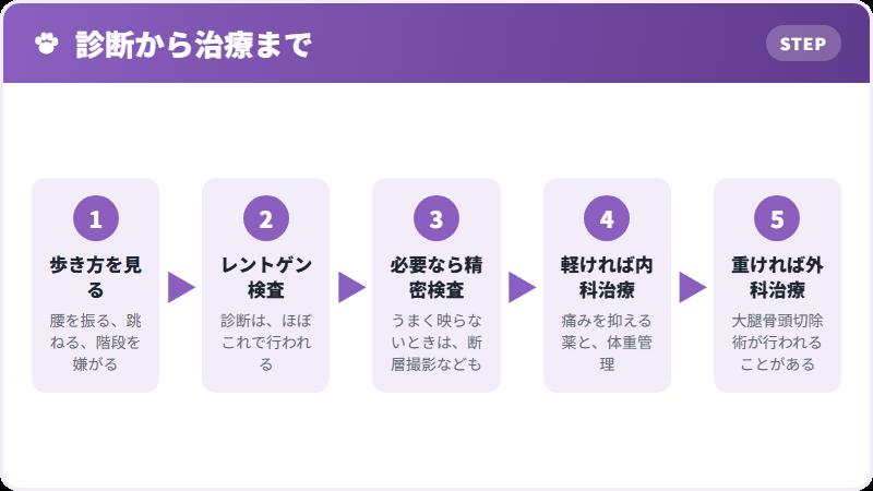 診断と治療の流れ