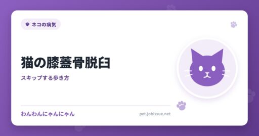 猫の膝蓋骨脱臼