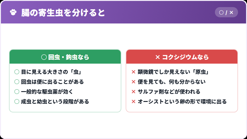 ほかの寄生虫との違い
