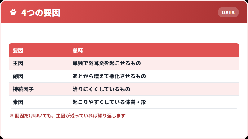 外耳炎をつくる4つの要因