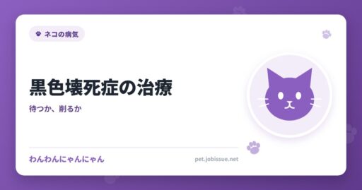 黒色壊死症の治療