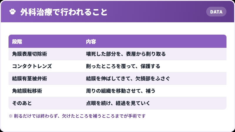手術の中身