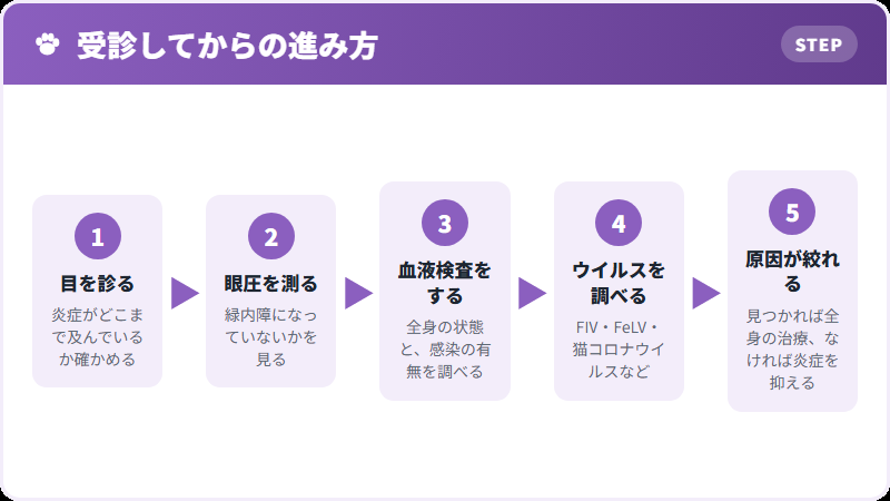 全身を探す流れ