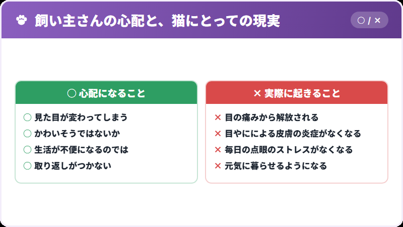 心配と、実際