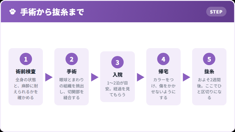 手術の流れ