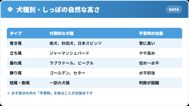 犬種によるしっぽの自然な高さの違い