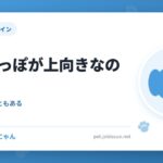 犬のしっぽが上向きなのは自信