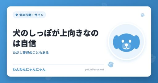 犬のしっぽが上向きなのは自信