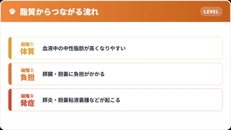 脂質の体質が招くもの