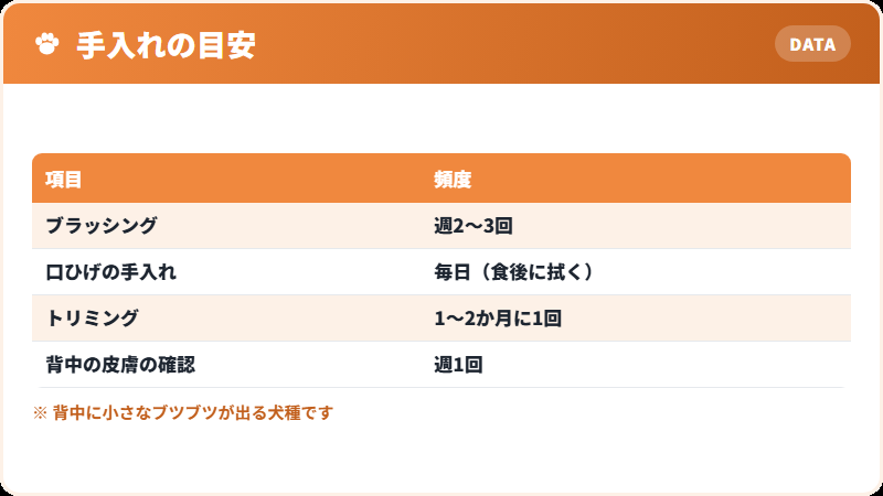 被毛と皮膚の手入れ