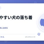 興奮しやすい犬の落ち着かせ方