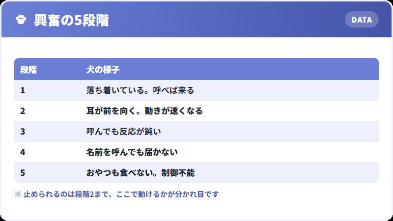 犬の興奮の5段階