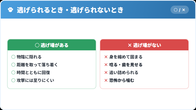 巻き込んだ犬が噛むまでの流れ