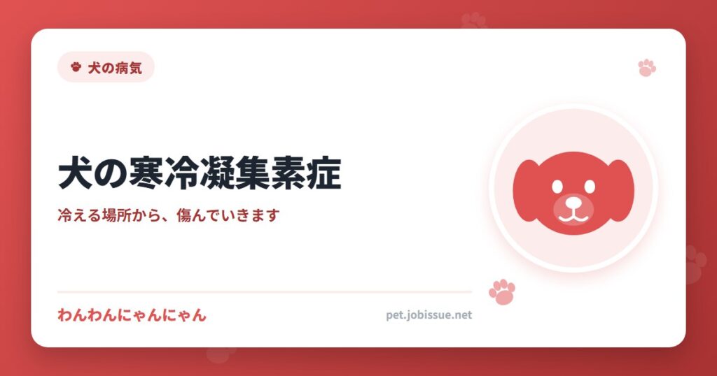 犬の寒冷凝集素症