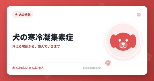 犬の寒冷凝集素症
