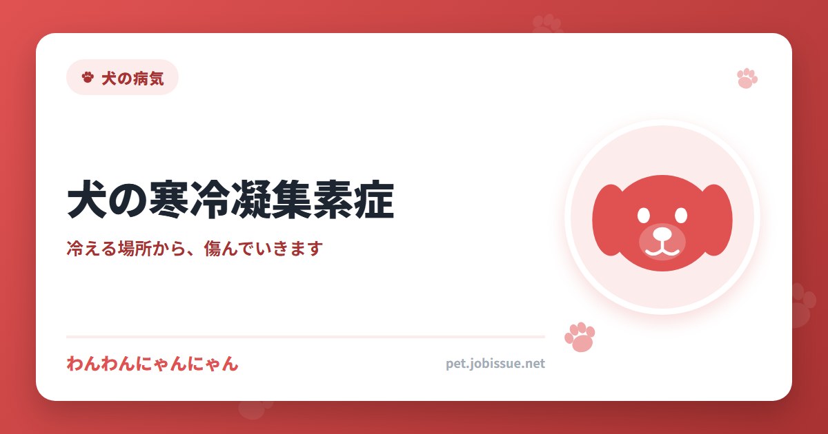 犬の寒冷凝集素症