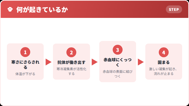 起きている仕組み