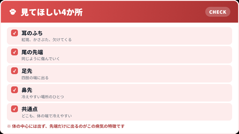 症状の出る場所
