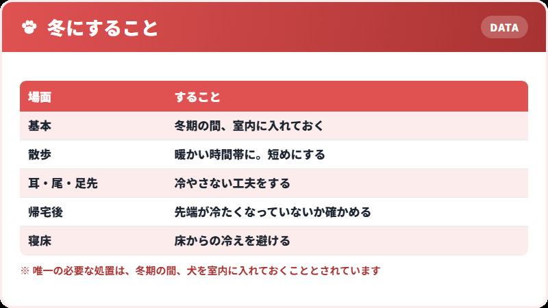 冬の過ごし方
