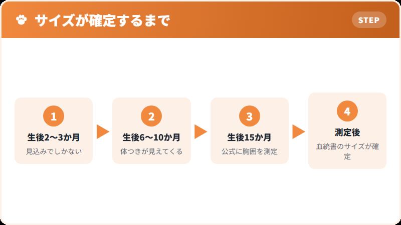 サイズが確定するまでの流れ